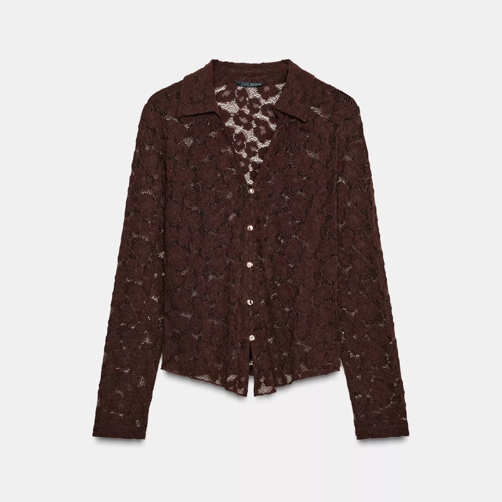 Zara Brown Lace Button-Up Shirt